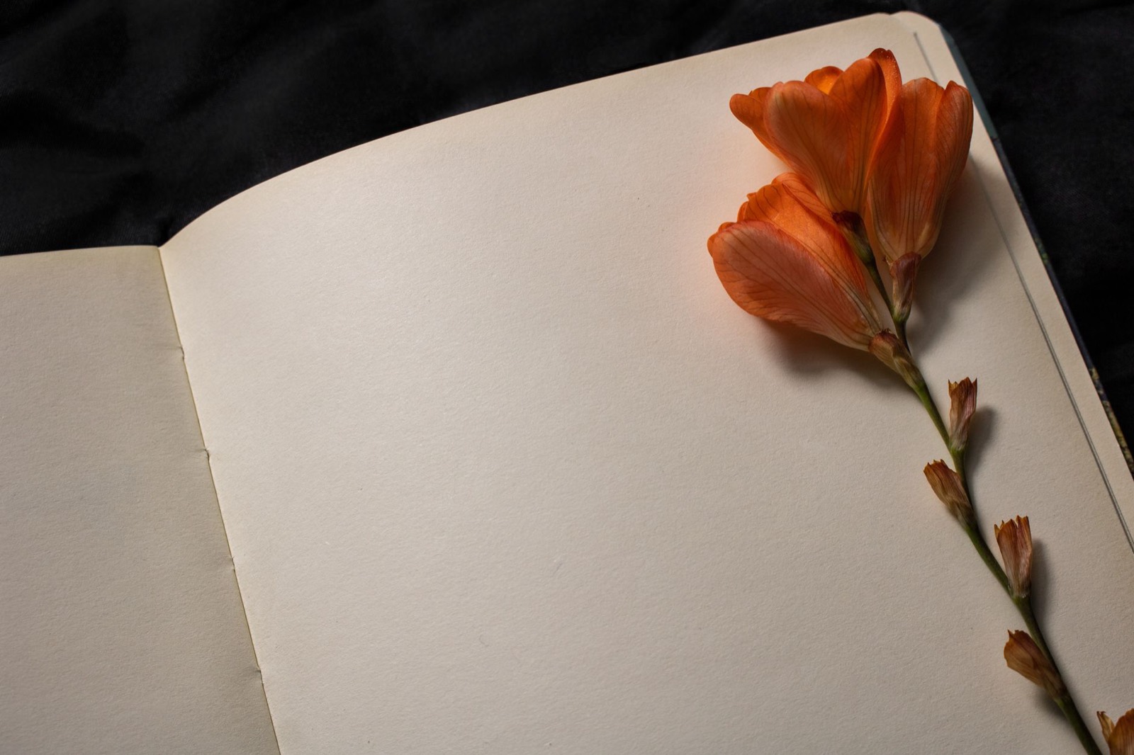 An open journal with a flower resting on the page